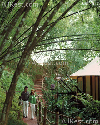 Four Seasons Tented Camp Golden Triangle 14